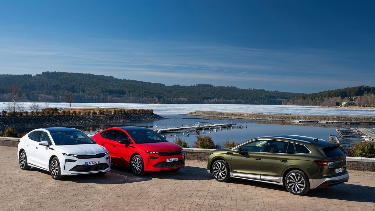 
										Cosa frena il mercato svizzero delle auto nuove
									